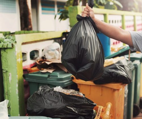 How to Choose a Reliable Junk Removal Services in Orlando
